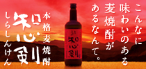 本格麦焼酎 知心剣